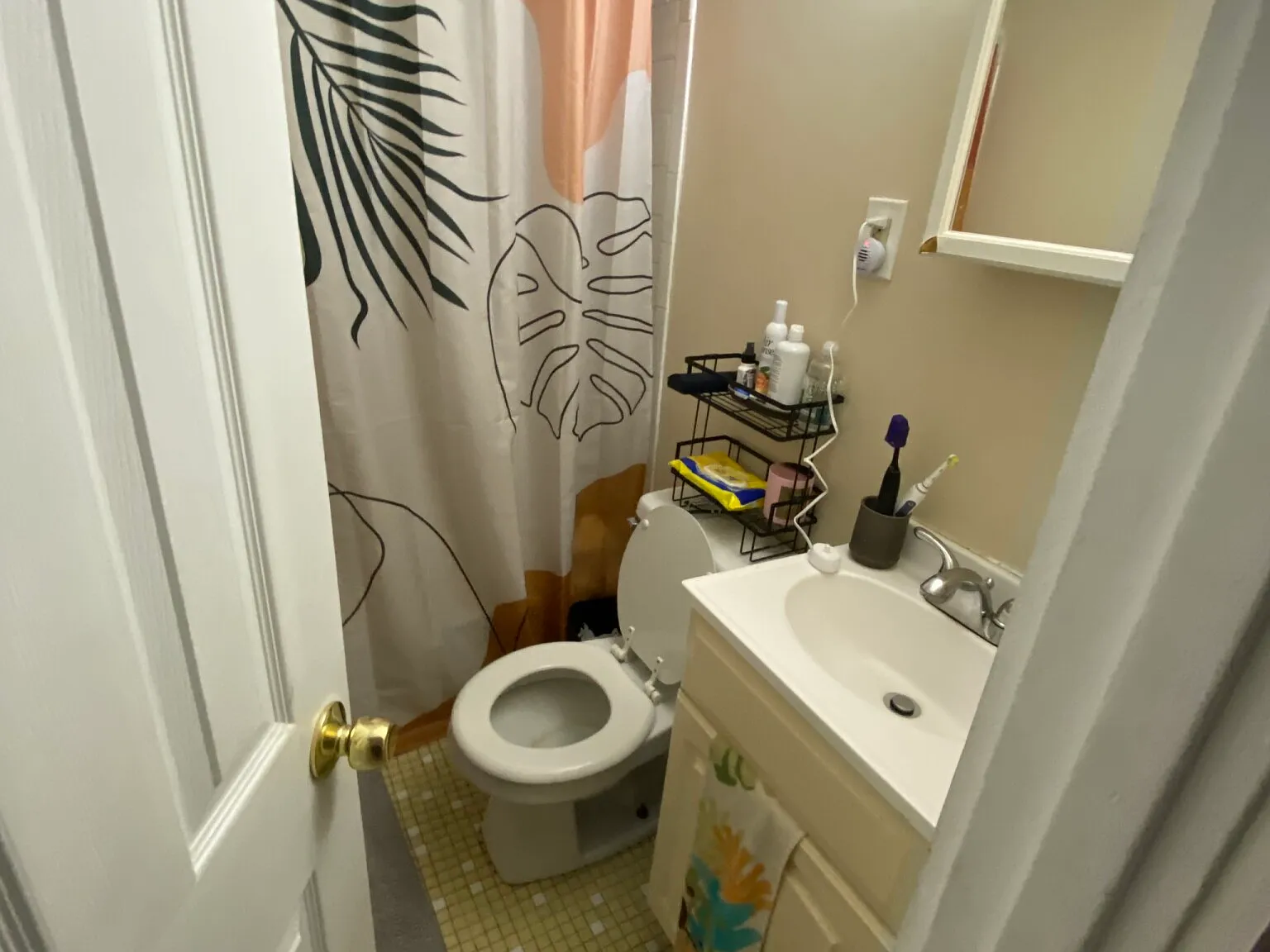 2 bed, 650 sqft, $3,800 — Photo 3