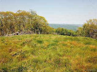 0 Jack Mountain Rd LOT 122.2, Monterey, VA 24465