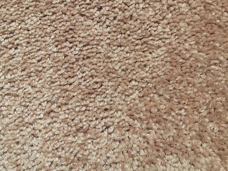 The color of the carpet /beige natural shade