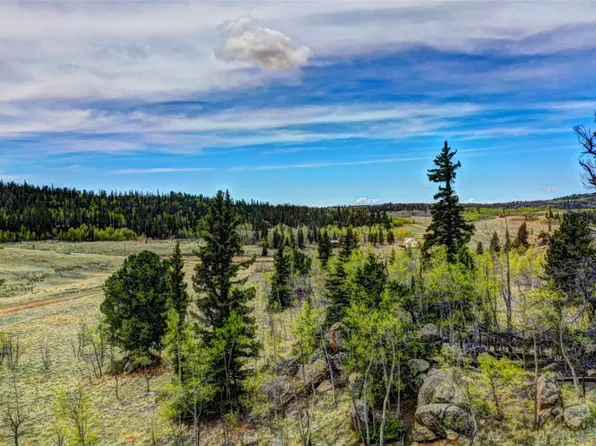 129 Longbow Ct, Como, CO 80456