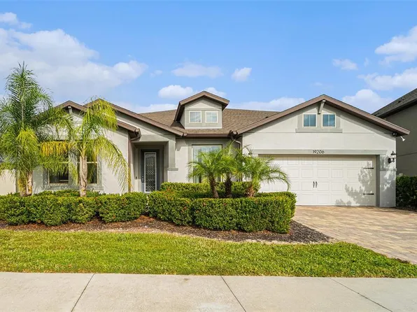19206 Briarbrook Dr, Tampa, FL 33647