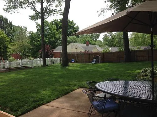 back yard