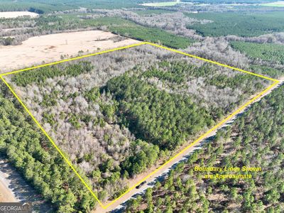0 Shady Grove Rd, Abbeville, GA, 31001