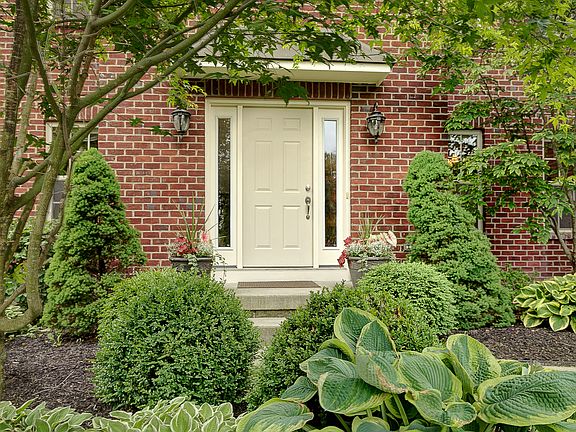 Landscaped Yard