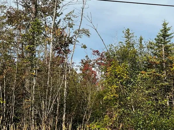 308 Geronimo Rd, Alpena, MI 49707