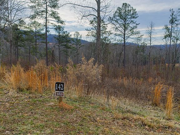 2nd image of LOT 142 Twisted Oak Rd