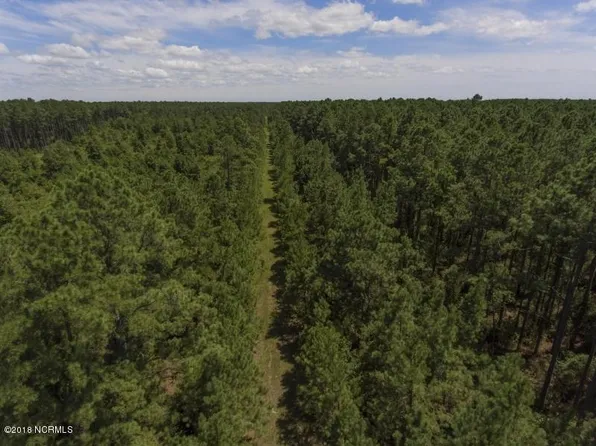 0 Makleyville Road, Scranton, NC 27875