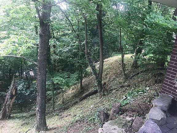 Back yard faces the River 