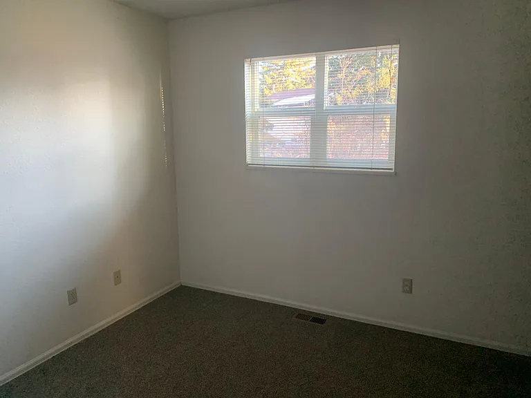 2950 Banderas Ln — Photo 11