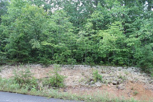 1st image of 36 Will Wyatt Ct