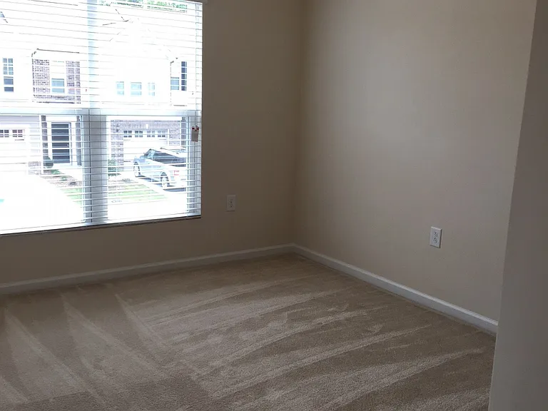 1046 Laceflower Dr — Photo 10