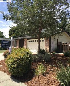 56 Serene Ct, Danville, CA, 94526