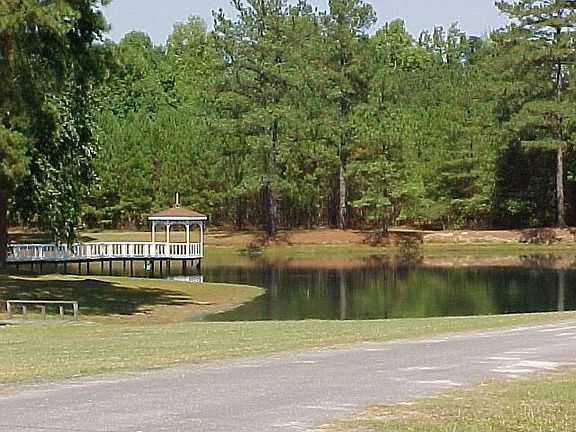 POND VIEW