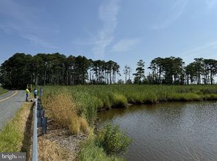 0 Elliott Island Rd, Vienna, MD 21869