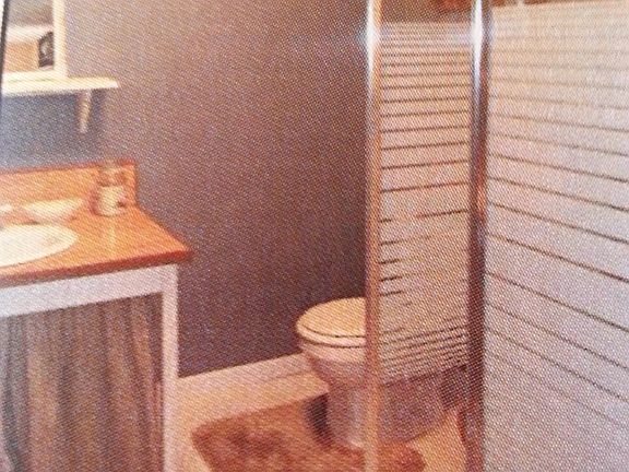 Bsmt bath
