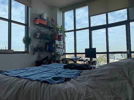 3rd image of 1040 Dean St APT 806