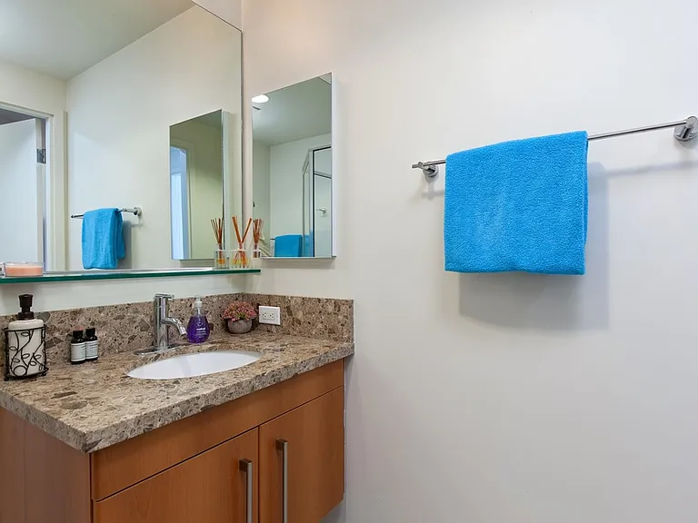 321 10th Ave #807 — Photo 16