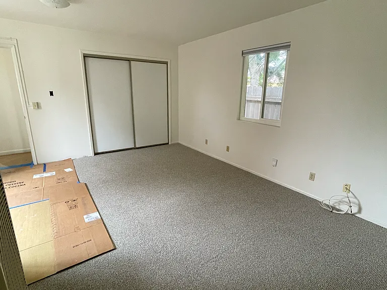 Downstairs Room with closet doors (and the famous cardboard).
