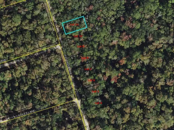 11 Fig Tree Ln, Crawfordville, FL 32327