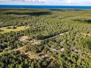 4040 Stricklands Landing Dr, Perry, FL 32348