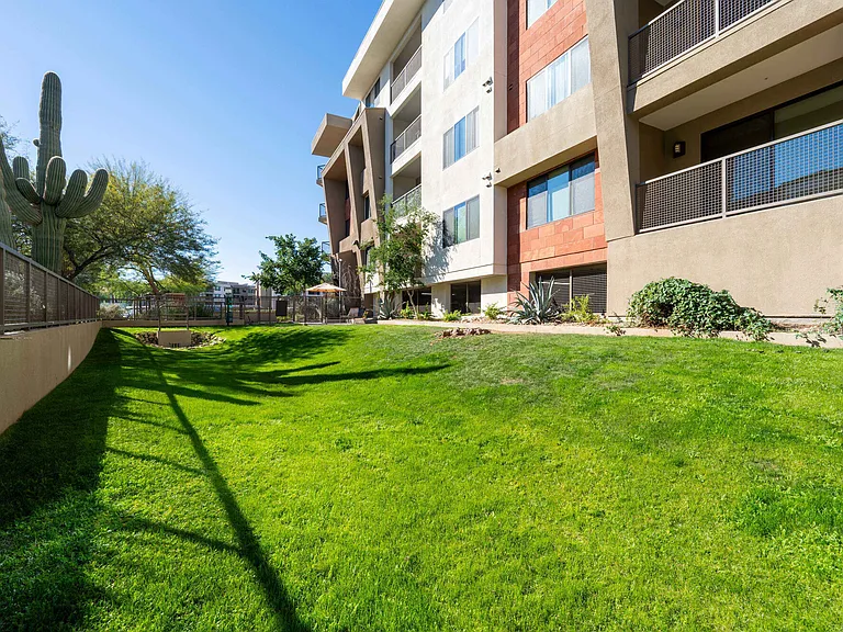 IMT North Scottsdale — Photo 6