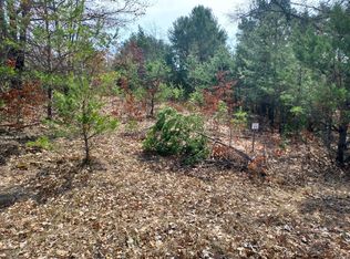 LOT 25 N Ridge Rd, Evart, MI 49631