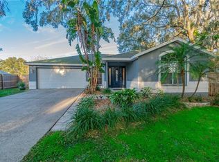 1305 Gangplank Dr, Valrico, FL 33594