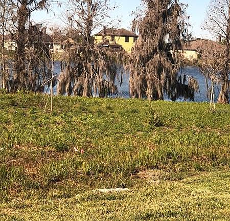 4th image of 6524 Great Bear Dr