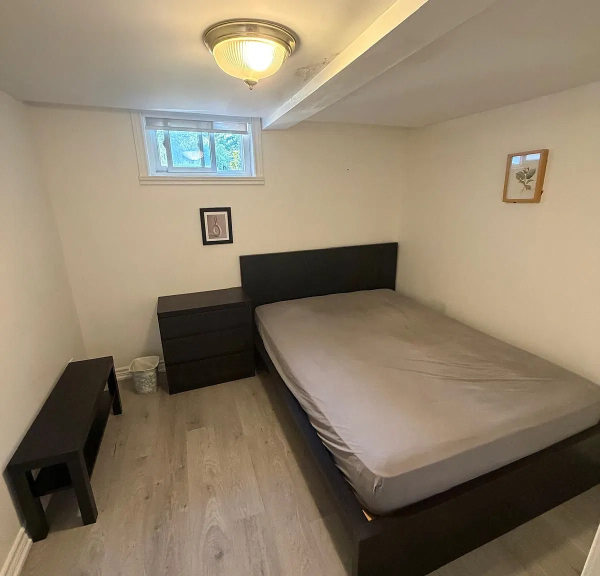 1 bed, $950 — Photo 1
