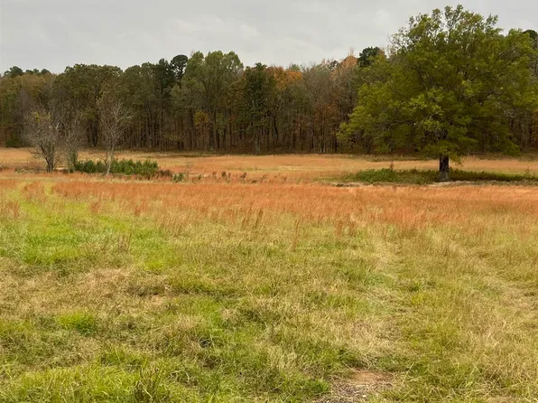 99999 Highway 89 N, Mayflower, AR 72106