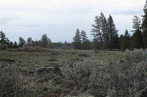 1st image of 109 Wild Turkey Rd