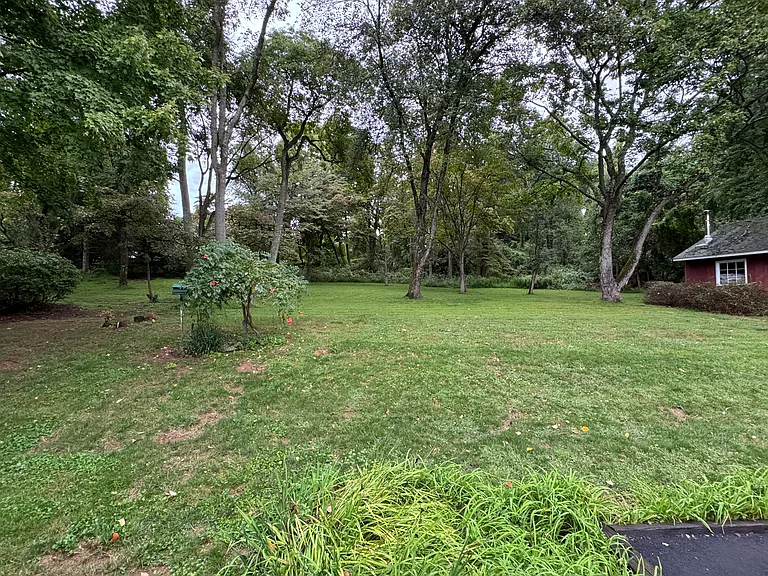 Very large rear yard with wooded area to explore