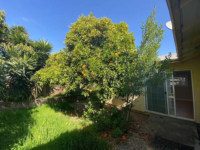 26131 Coleman Ave — Photo 12