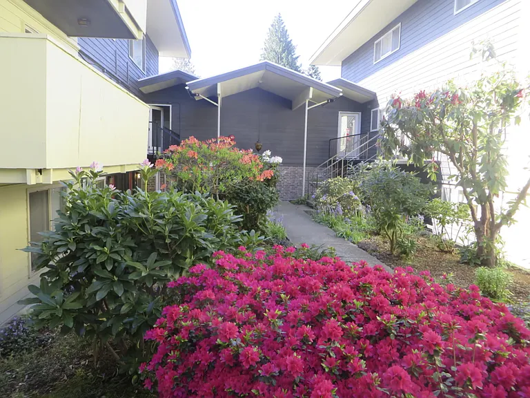Northwood Apartments — Photo 39