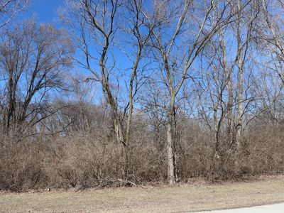 35 Birchwood Ln, Saint Anne, IL, 60964