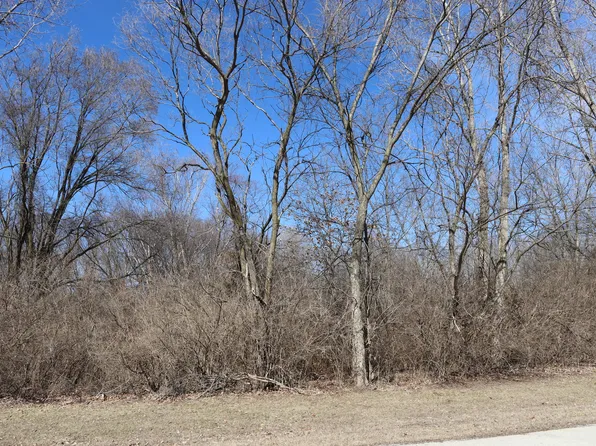 35 Birchwood Ln, Saint Anne, IL 60964