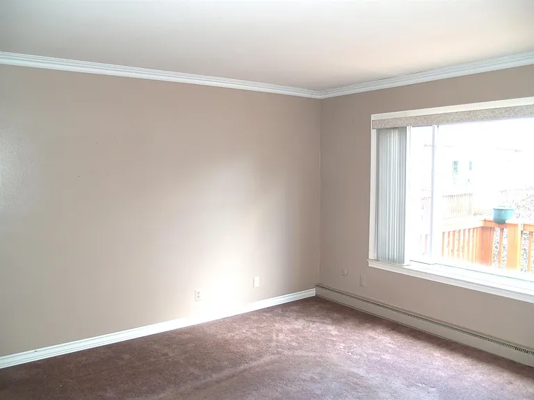 4206 Packard St #6 — Photo 4