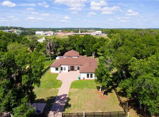 17305 3rd St, Montverde, FL 34756