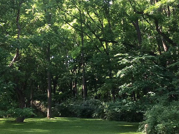 View from back porch
