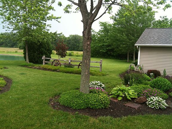View from back patio