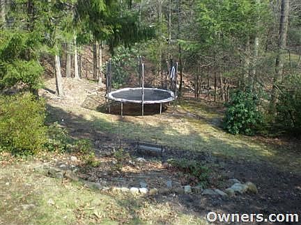 back yard to brook