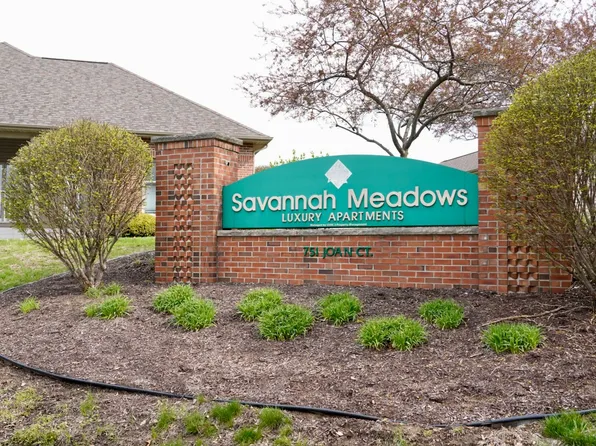 Savannah Meadows