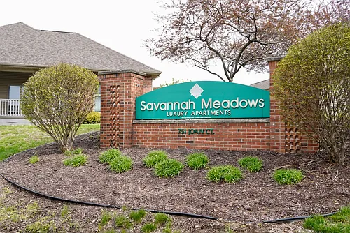 Savannah Meadows Photo 1