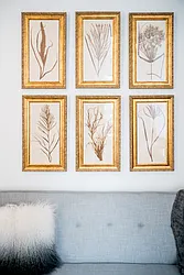 Rented by ER (DO NOT USE)