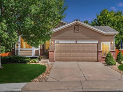 4152 Stampede Drive, Castle Rock, CO, 80104