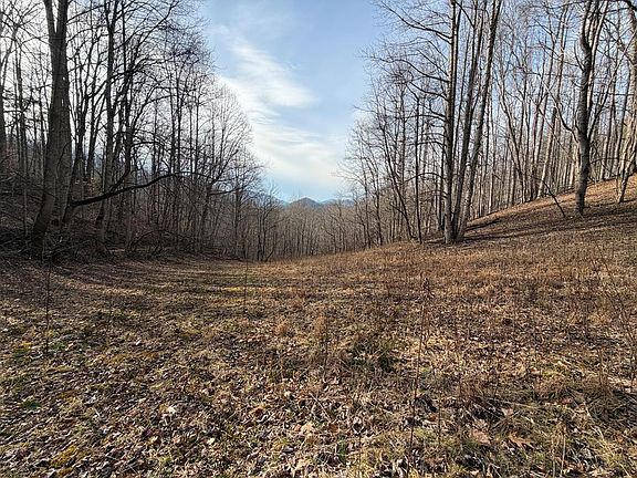 2nd image of 491 Otter Mountain Rd