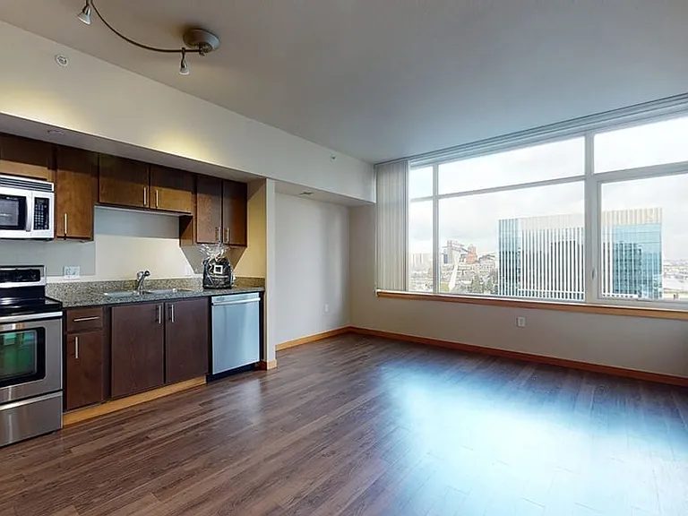 Apartment living room with wood-style flooring.