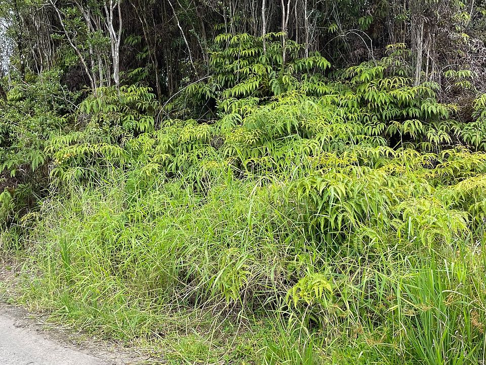 2nd image of Palm Tree Dr Lot 140