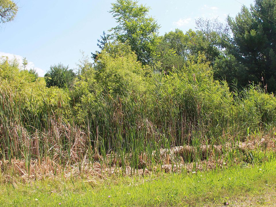 2nd image of 2596 Northwood Rd