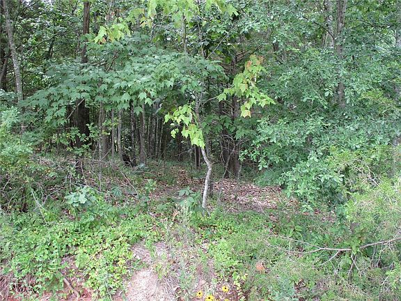 4th image of Hastings Ln #19